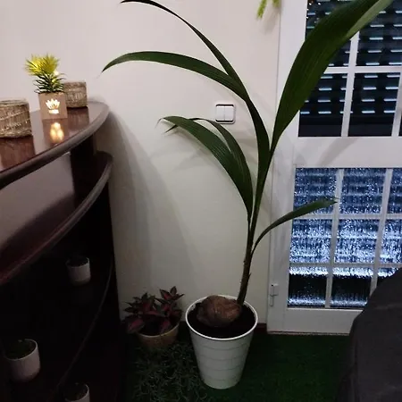 Casa de Férias T3 Em Ferias Vivenda Independente *