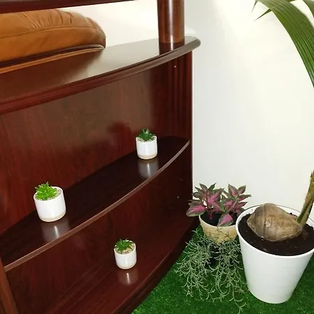 Casa de Férias T3 Em Ferias Vivenda Independente